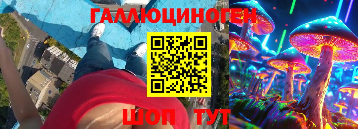 Ленинск-Кузнецкий  Псилоцибиновые грибы Cubensis  Вход с VPN  Псилоцибиновые грибы Psilocybe 